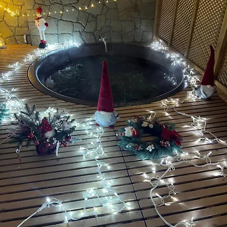 Apartment & Zatyshnyi Dvir