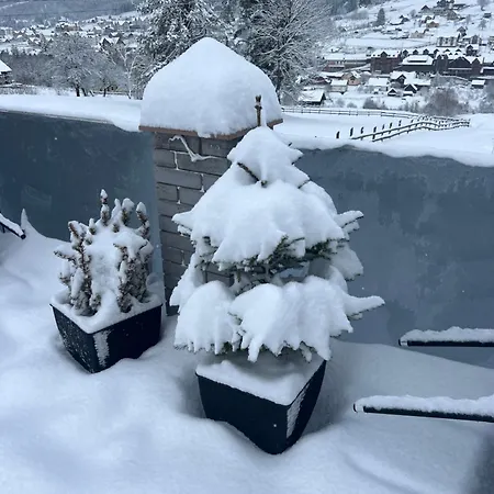 Apartment & Zatyshnyi Dvir Bukowel