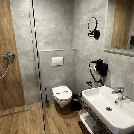 Apartment & Zatyshnyi Dvir Bukowel